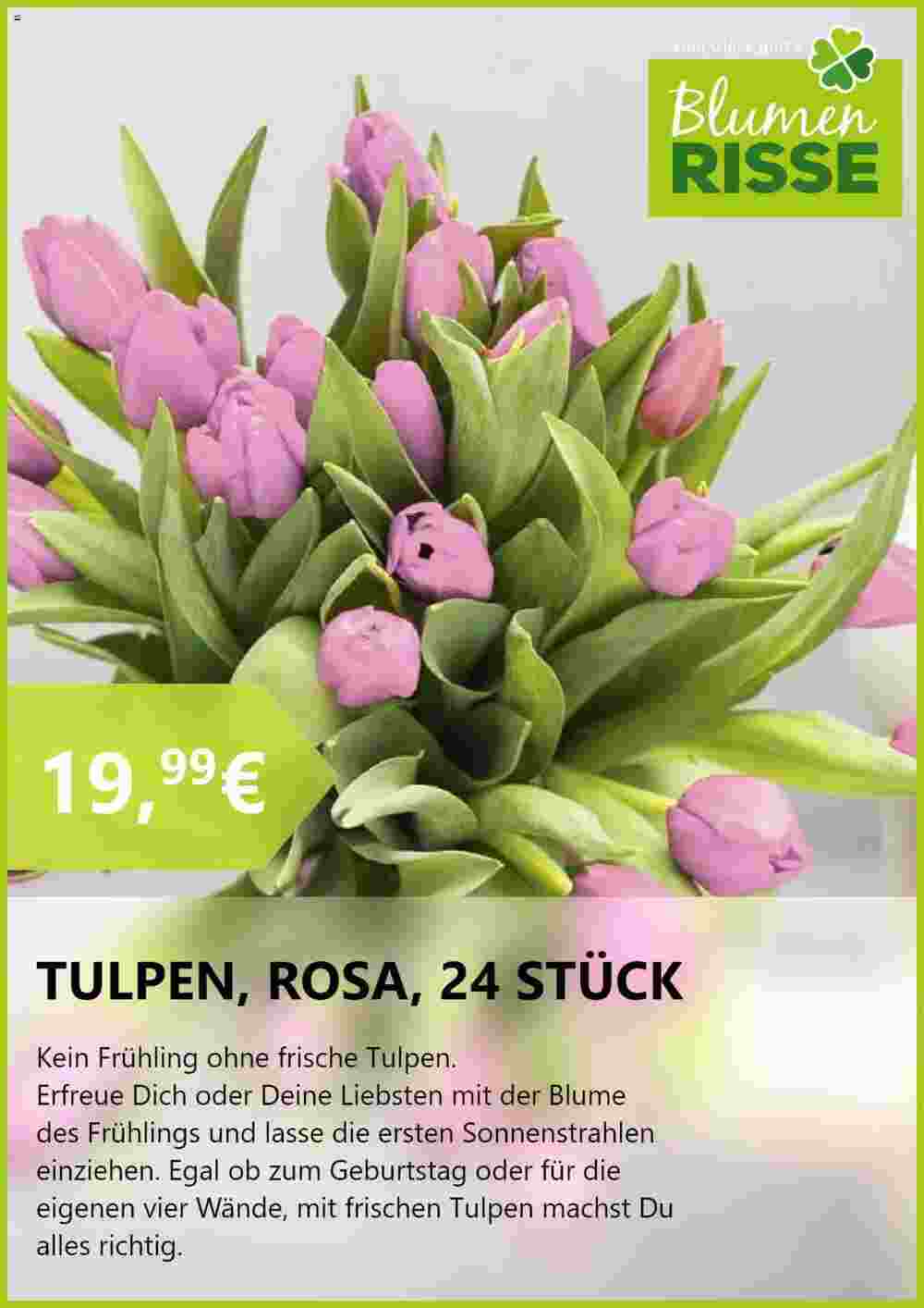 Blumen Risse Prospekt (ab 20.02.2024) zum Blättern - Seite 3