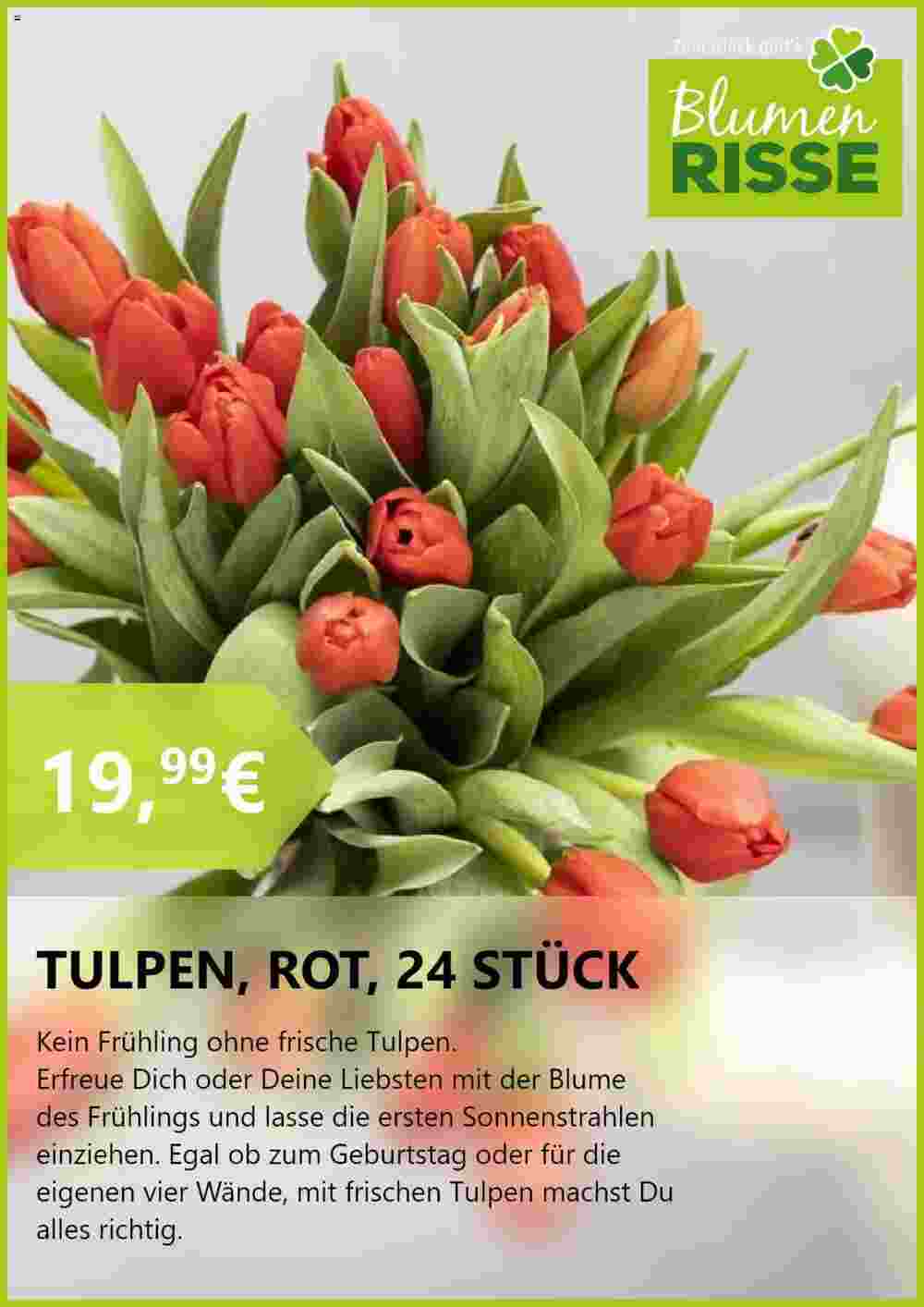 Blumen Risse Prospekt (ab 20.02.2024) zum Blättern - Seite 4