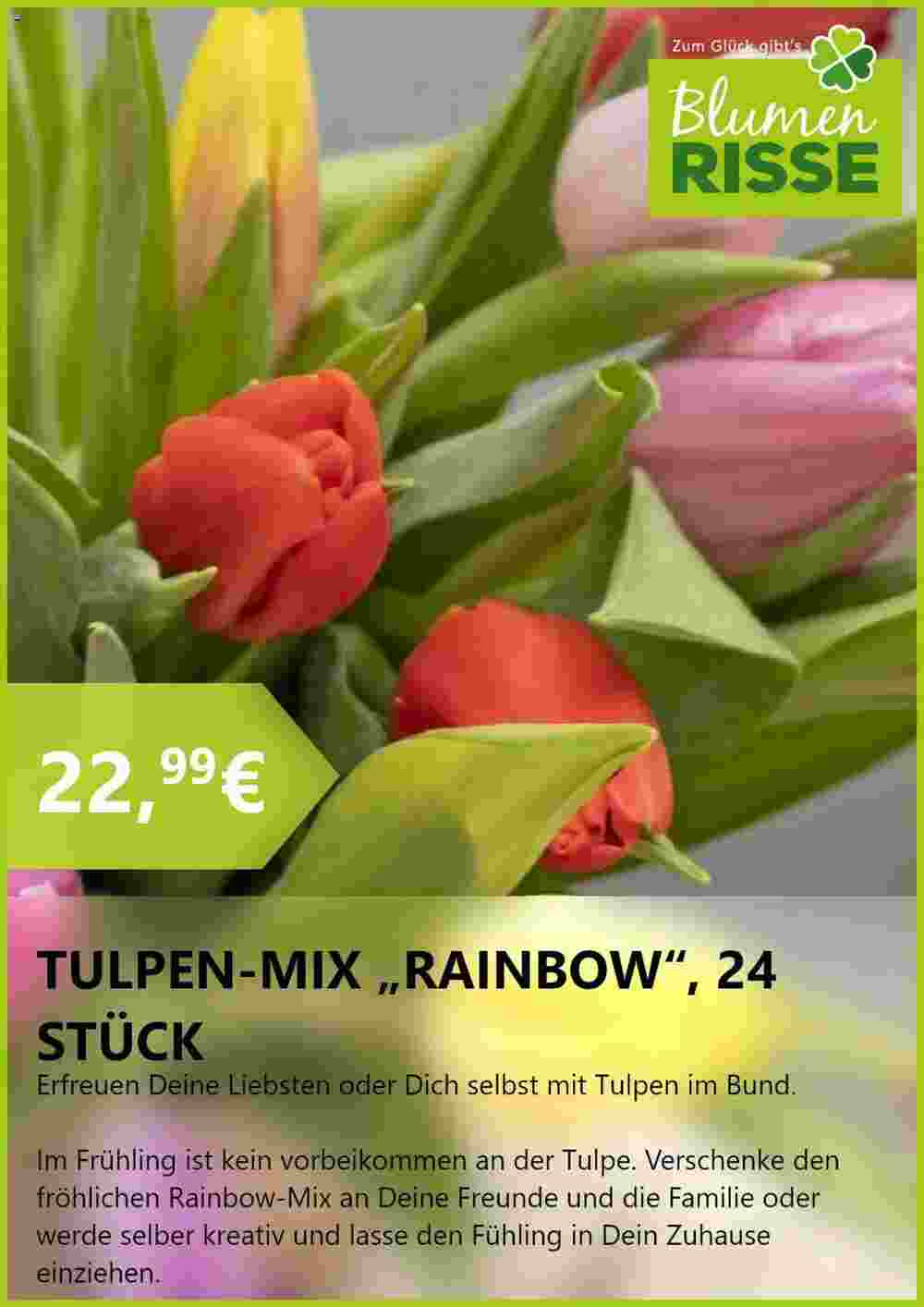 Blumen Risse Prospekt (ab 20.02.2024) zum Blättern - Seite 5