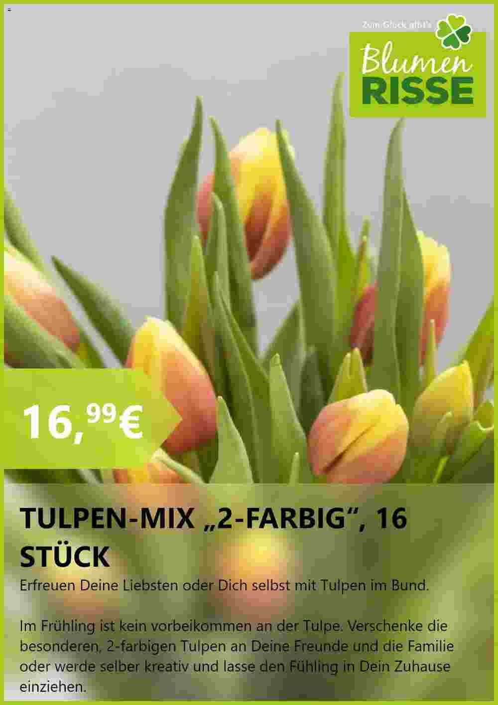 Blumen Risse Prospekt (ab 20.02.2024) zum Blättern - Seite 6