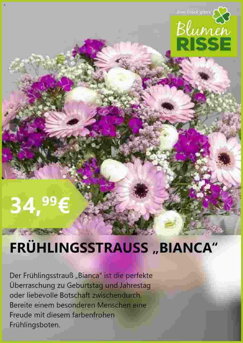 Blumen Risse Prospekt (ab 20.02.2024) zum Blättern - Seite 7