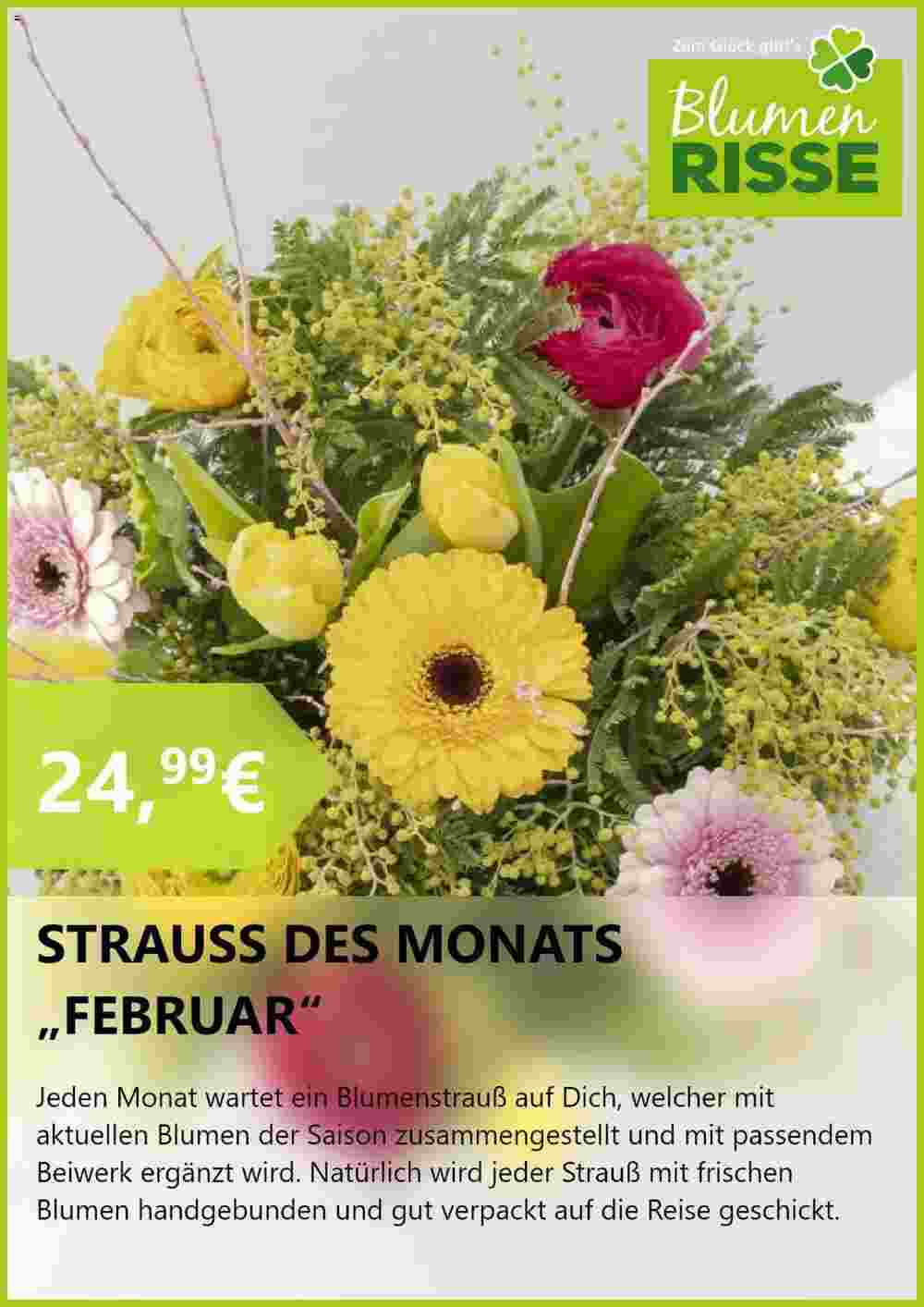 Blumen Risse Prospekt (ab 20.02.2024) zum Blättern - Seite 8