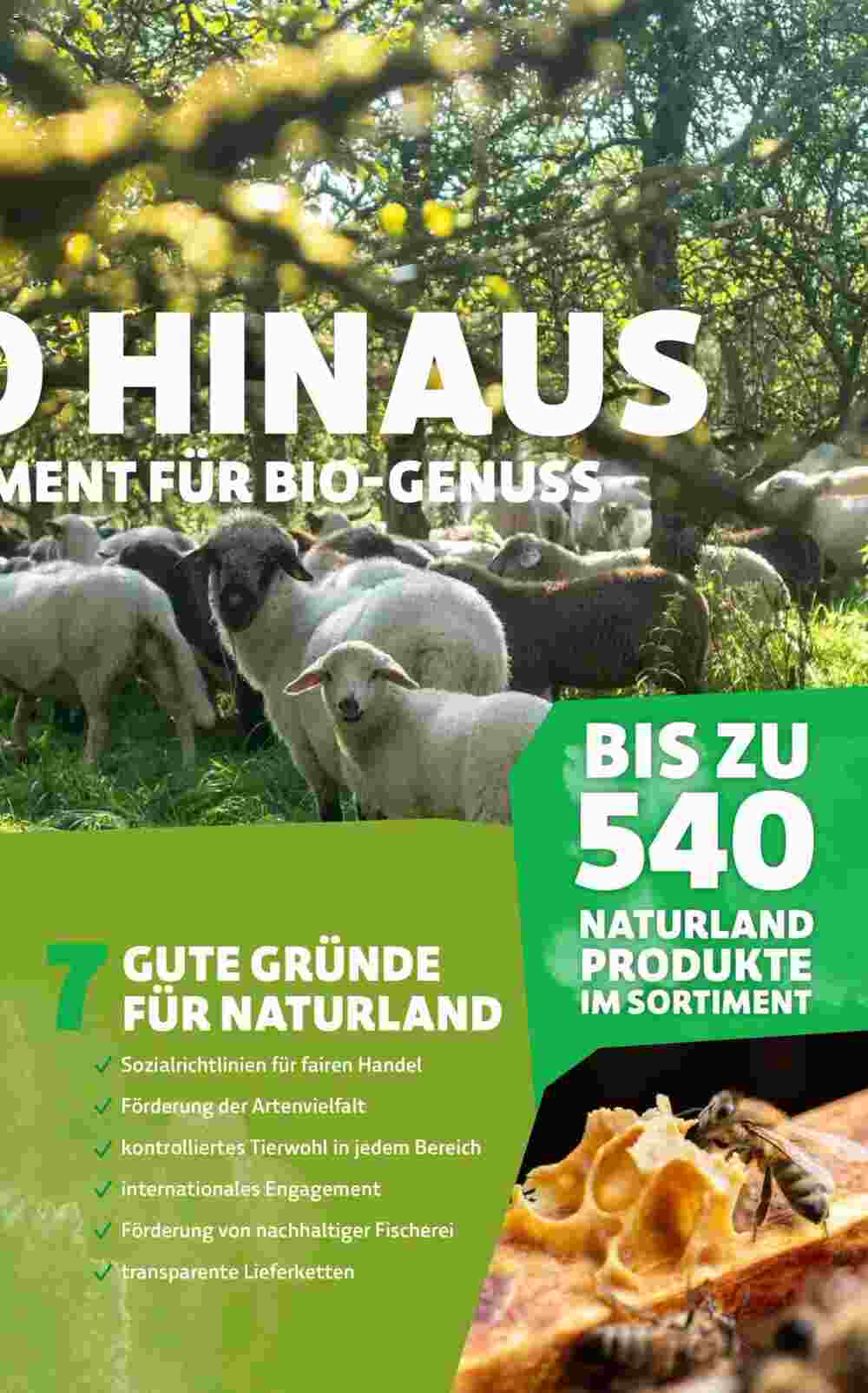 Denns BioMarkt Prospekt (ab 13.03.2024) zum Blättern - Seite 11