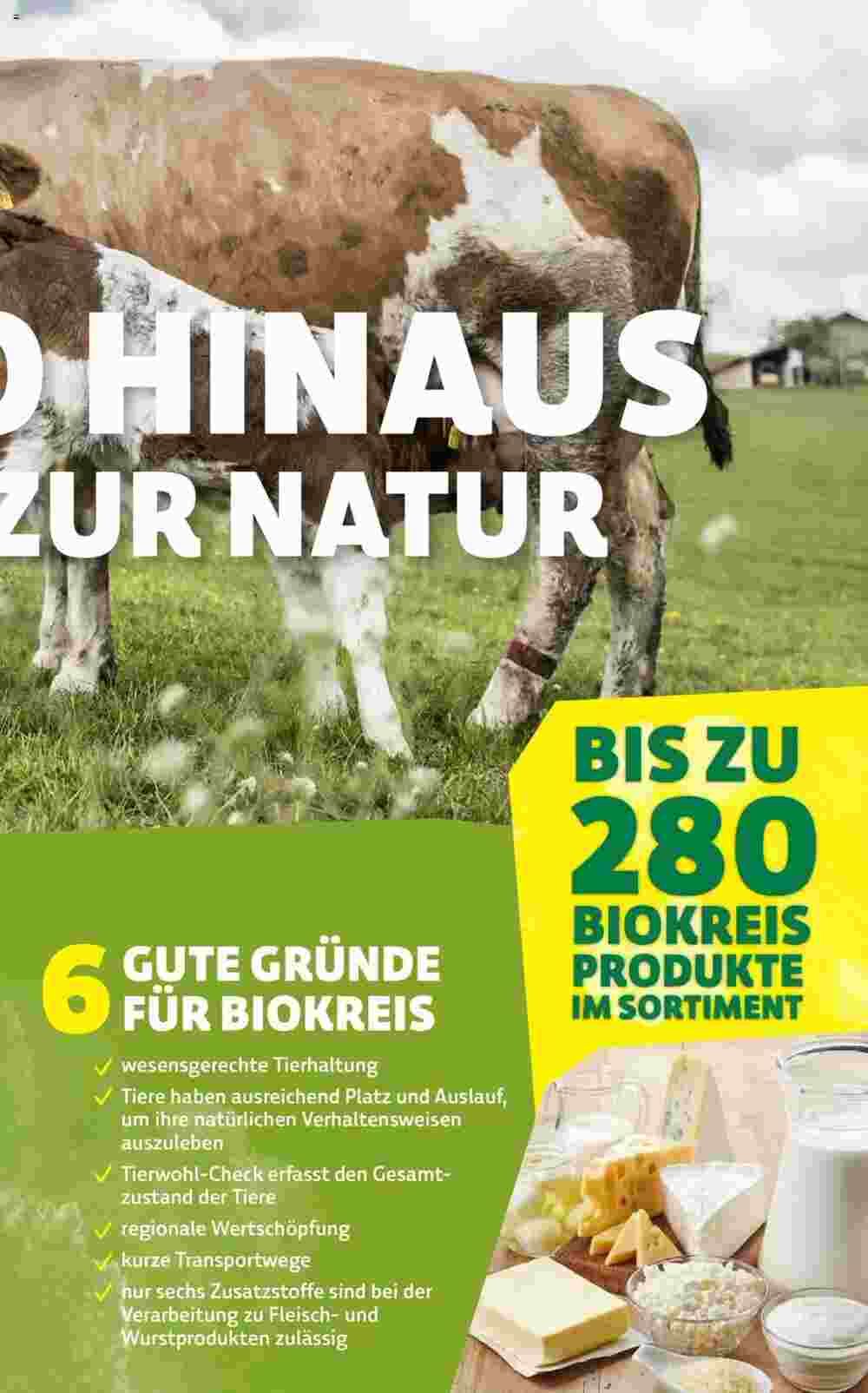 Denns BioMarkt Prospekt (ab 13.03.2024) zum Blättern - Seite 19