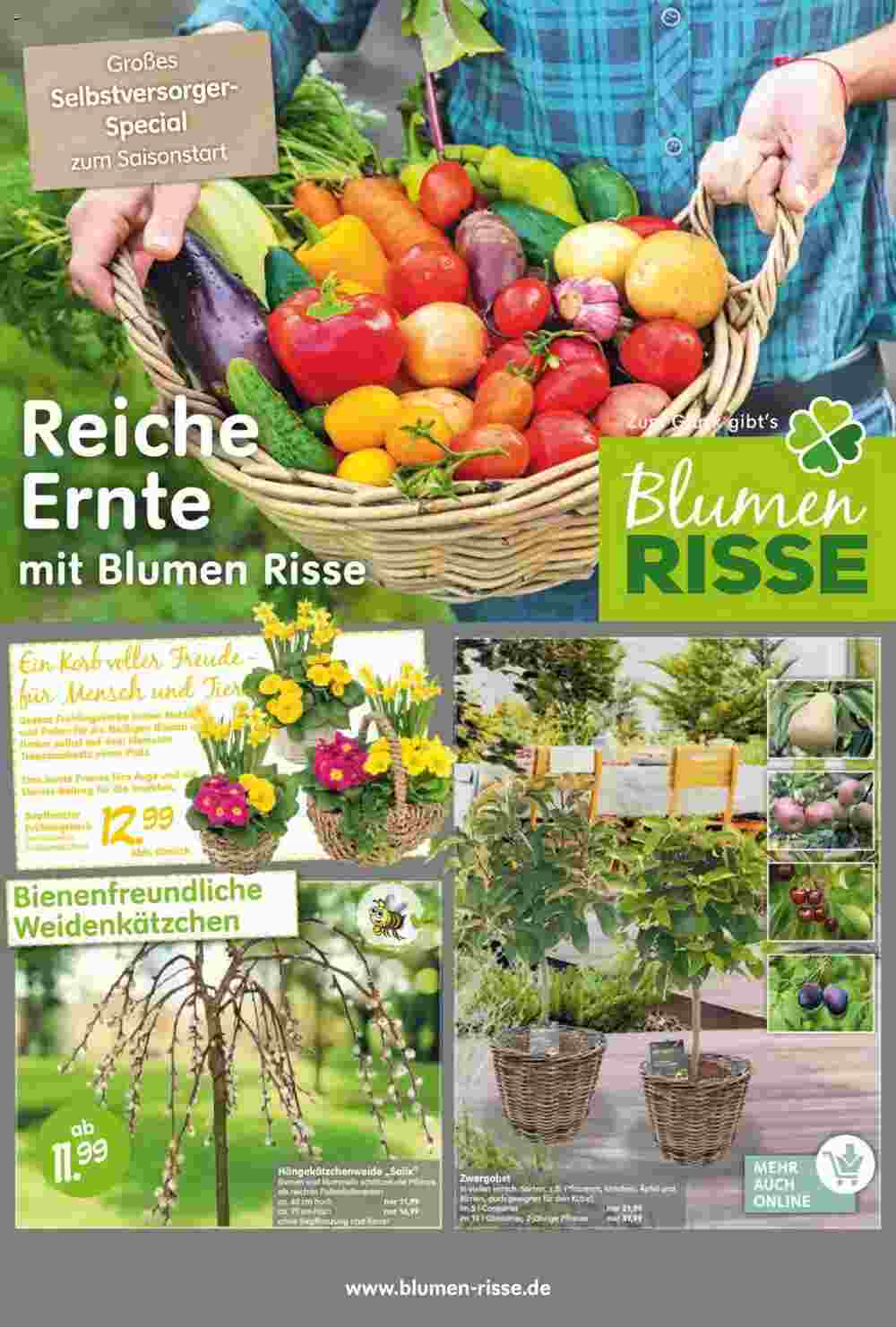 Blumen Risse Prospekt (ab 14.03.2024) zum Blättern - Seite 1