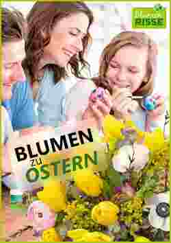 Blumen Risse Prospekt (ab 25.03.2024) zum Blättern