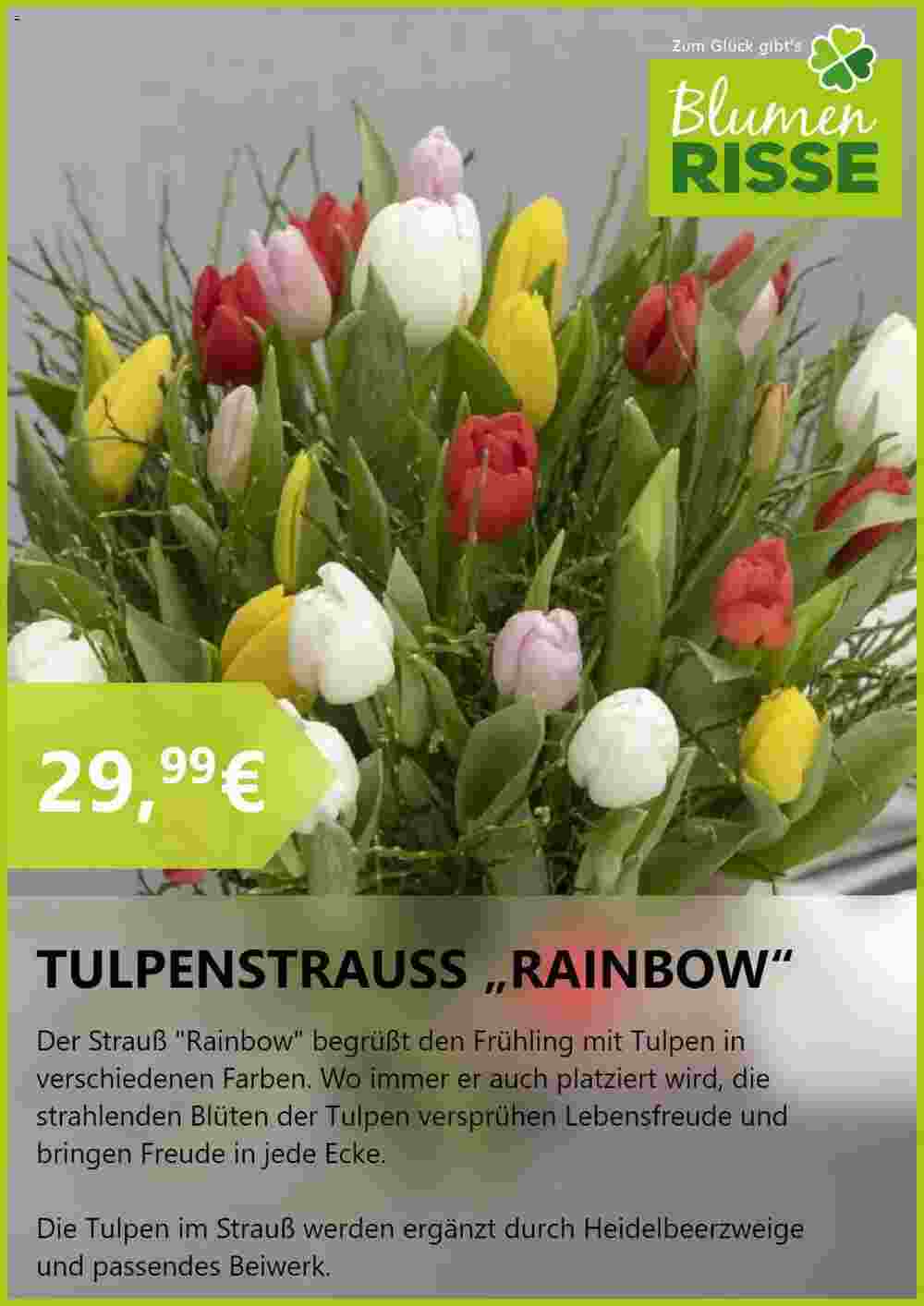 Blumen Risse Prospekt (ab 25.03.2024) zum Blättern - Seite 7