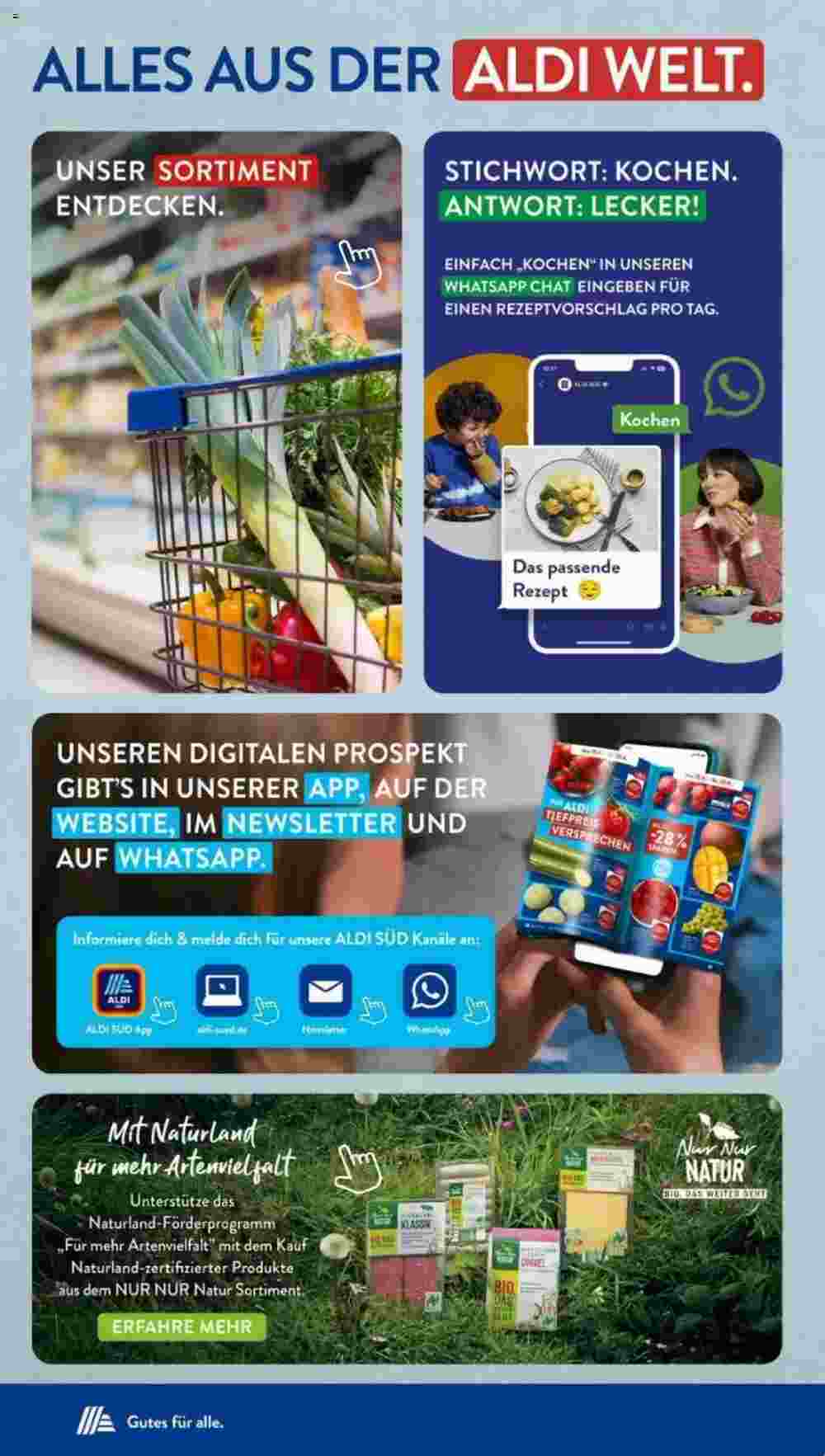 Aldi Süd Prospekt (ab 19.08.2024) zum Blättern - Seite 31