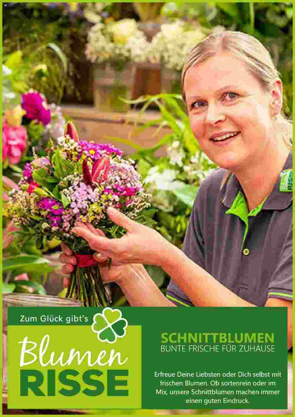 Blumen Risse Prospekt (ab 20.08.2024) zum Blättern - Seite 1