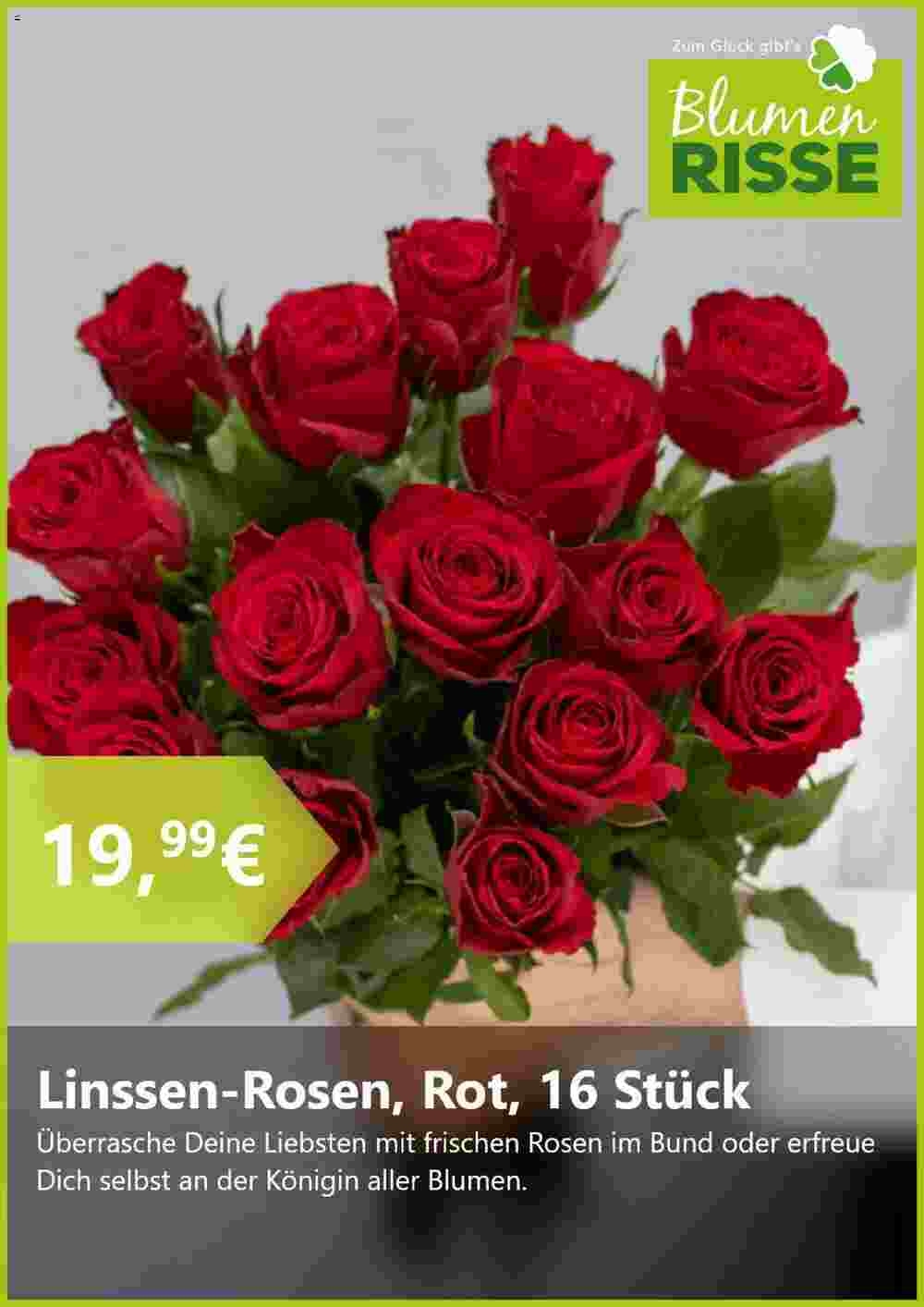 Blumen Risse Prospekt (ab 20.08.2024) zum Blättern - Seite 2