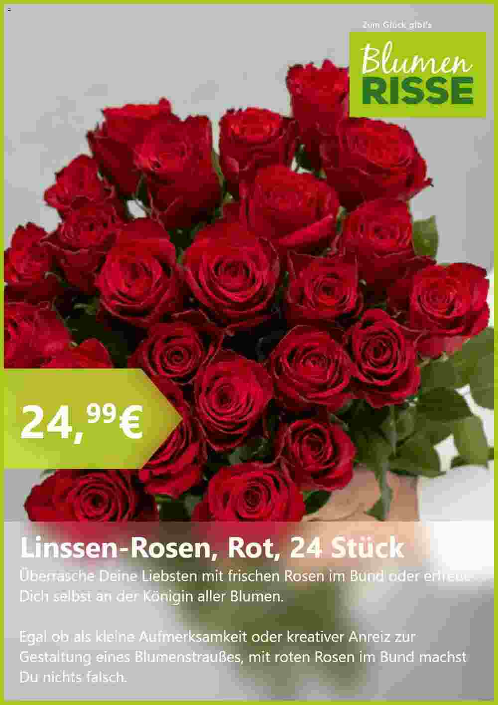 Blumen Risse Prospekt (ab 20.08.2024) zum Blättern - Seite 3