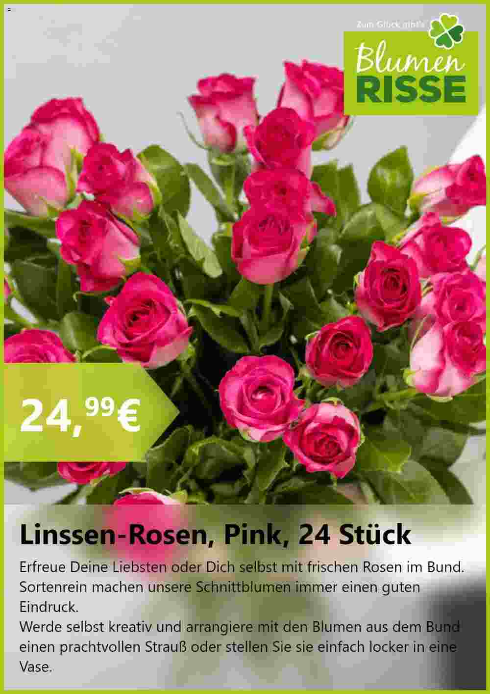 Blumen Risse Prospekt (ab 20.08.2024) zum Blättern - Seite 4