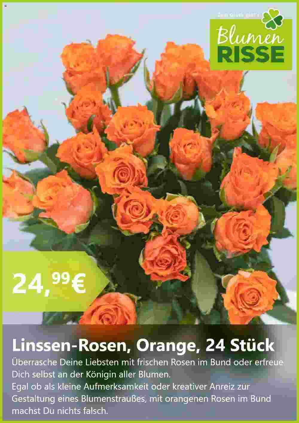 Blumen Risse Prospekt (ab 20.08.2024) zum Blättern - Seite 5