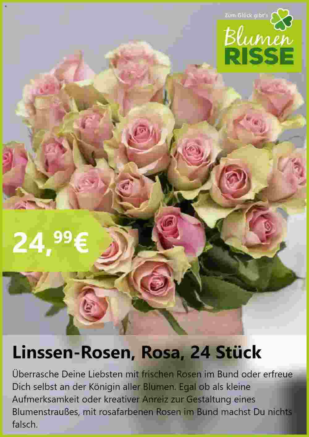 Blumen Risse Prospekt (ab 20.08.2024) zum Blättern - Seite 6