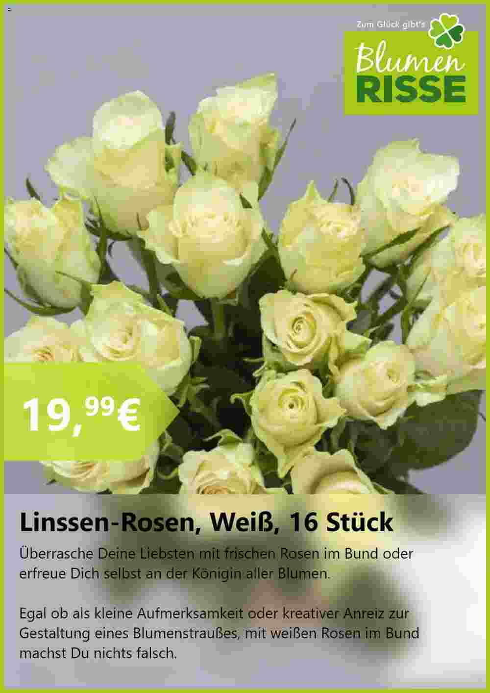 Blumen Risse Prospekt (ab 20.08.2024) zum Blättern - Seite 7