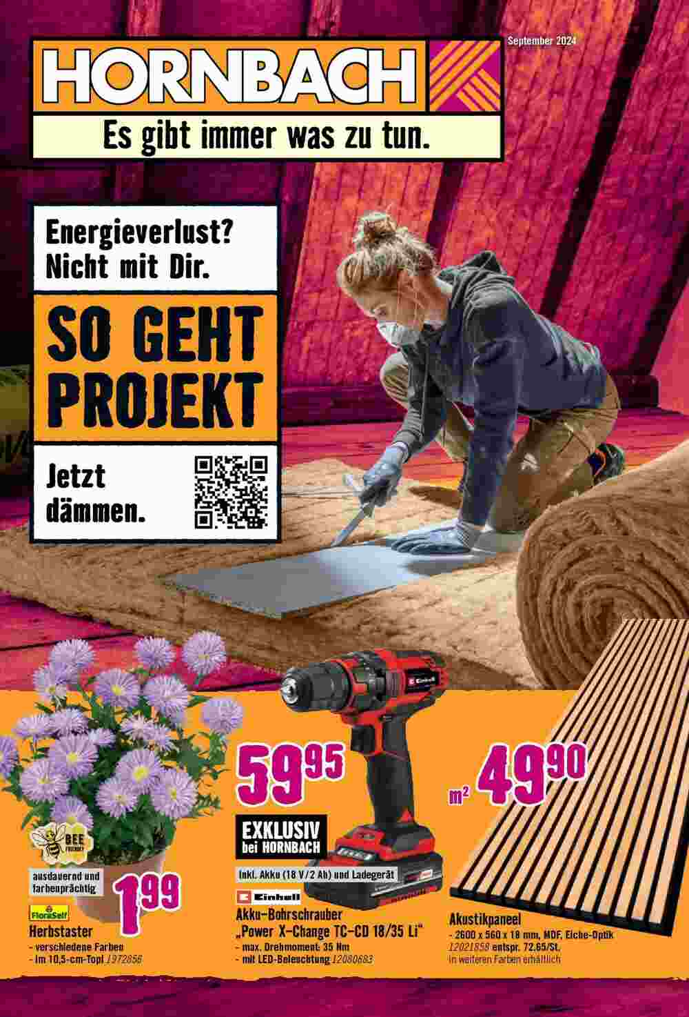 Hornbach Prospekt (ab 27.08.2024) zum Blättern - Seite 1