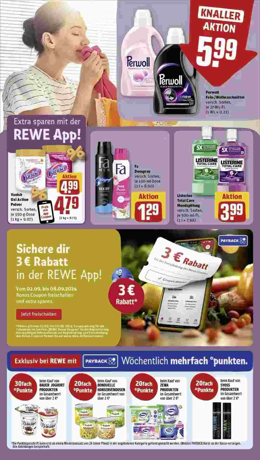 REWE Prospekt (ab 01.09.2024) zum Blättern - Seite 13