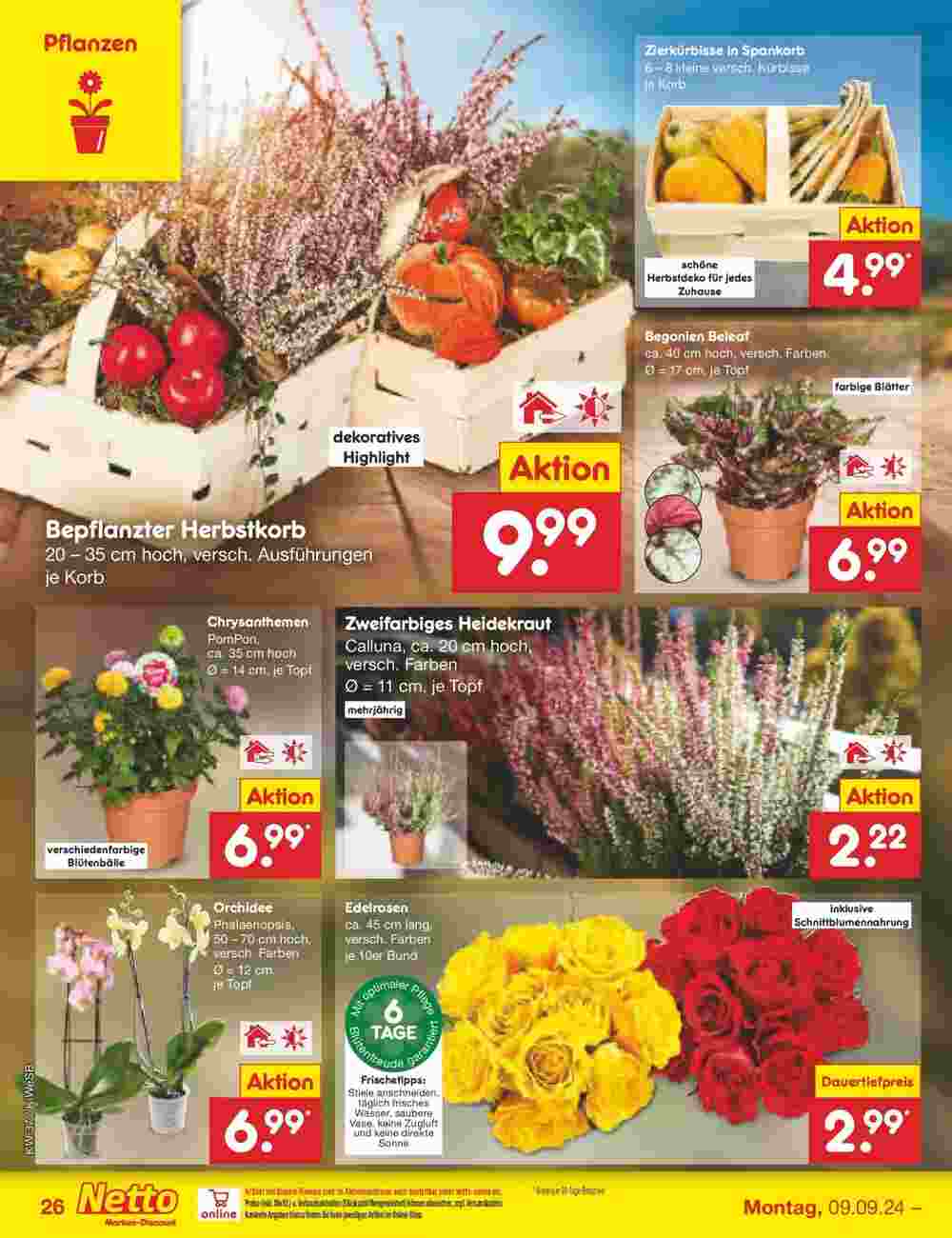 Netto Marken-Discount Prospekt (ab 08.09.2024) zum Blättern - Seite 34