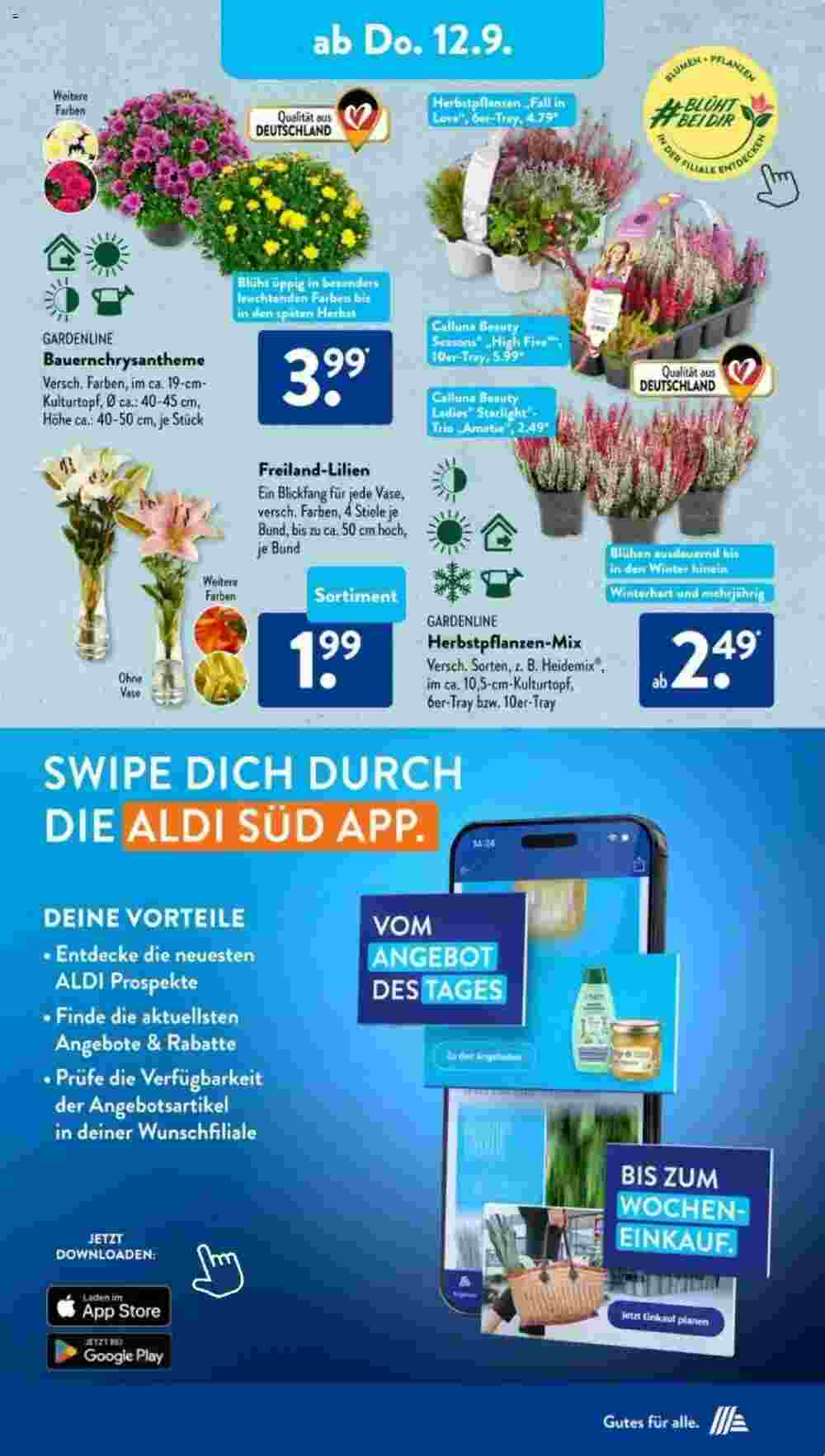 Aldi Süd Prospekt (ab 09.09.2024) zum Blättern - Seite 13