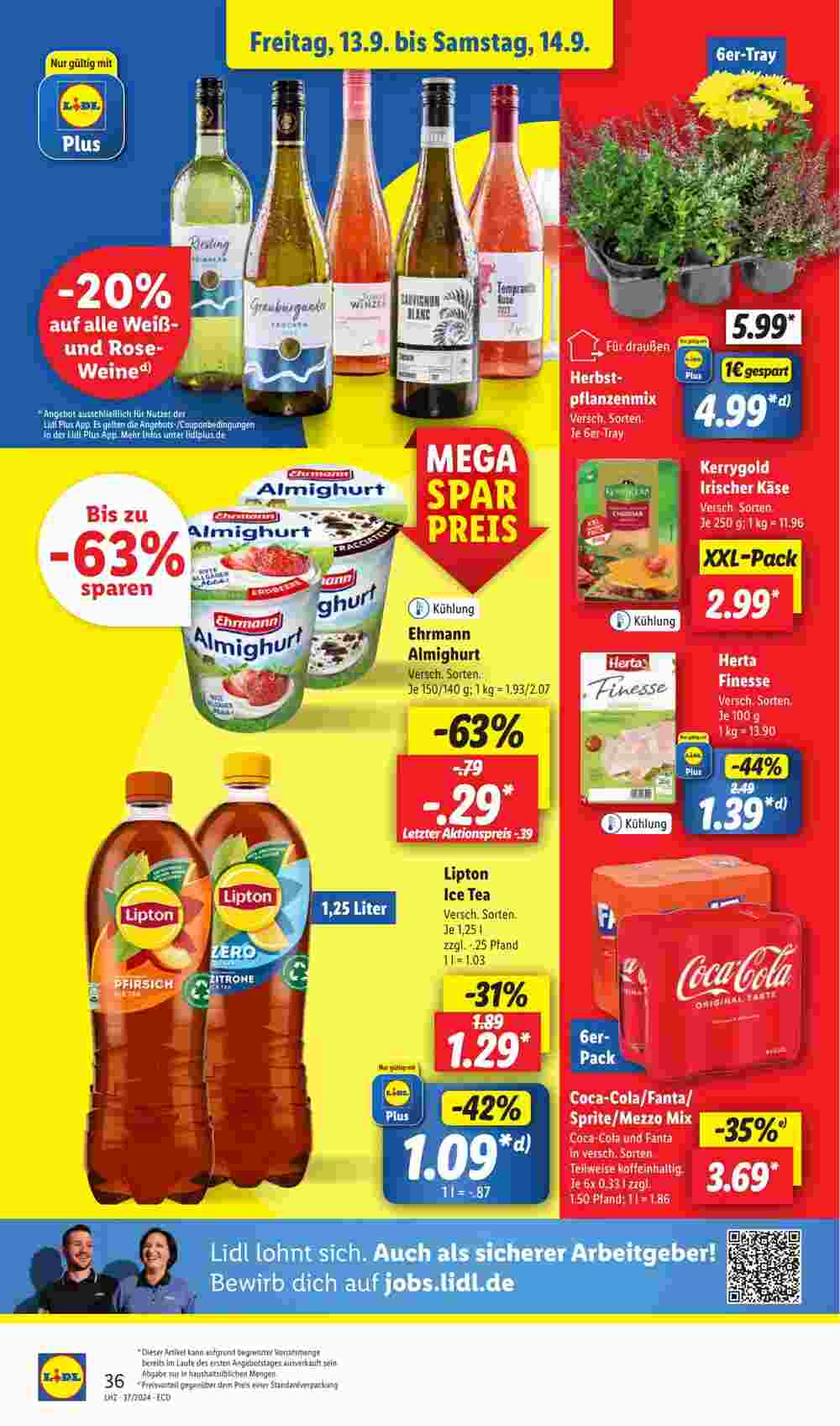 Lidl Prospekt (ab 09.09.2024) zum Blättern - Seite 48