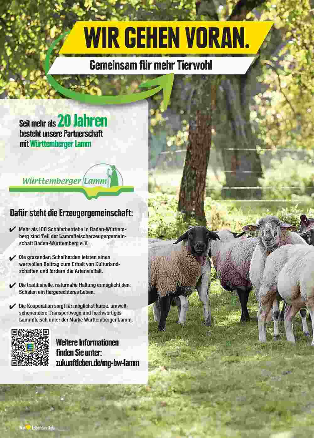 E-Center Prospekt (ab 27.10.2024) zum Blättern - Seite 6