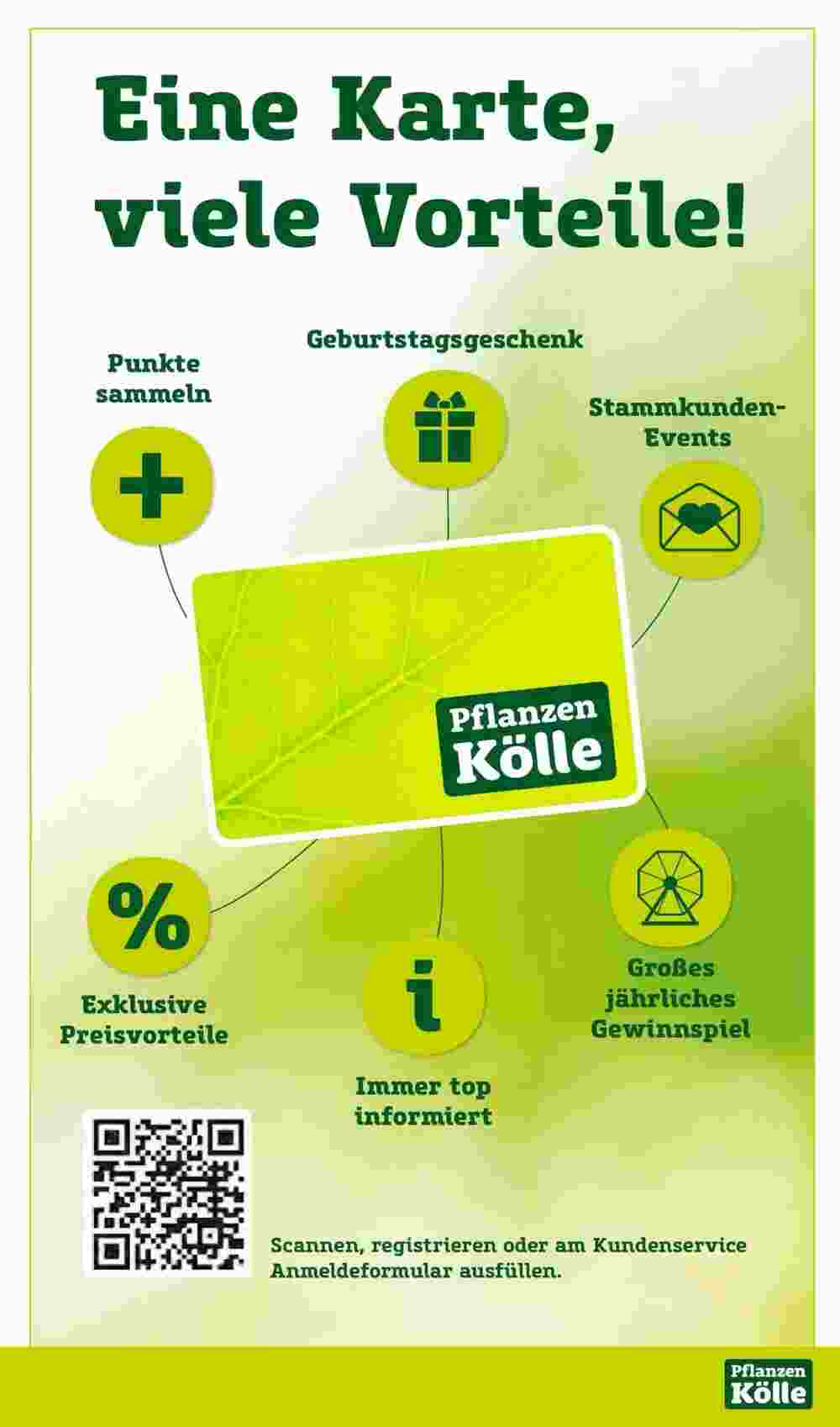 Pflanzen Kölle Prospekt (ab 17.11.2024) zum Blättern - Seite 17