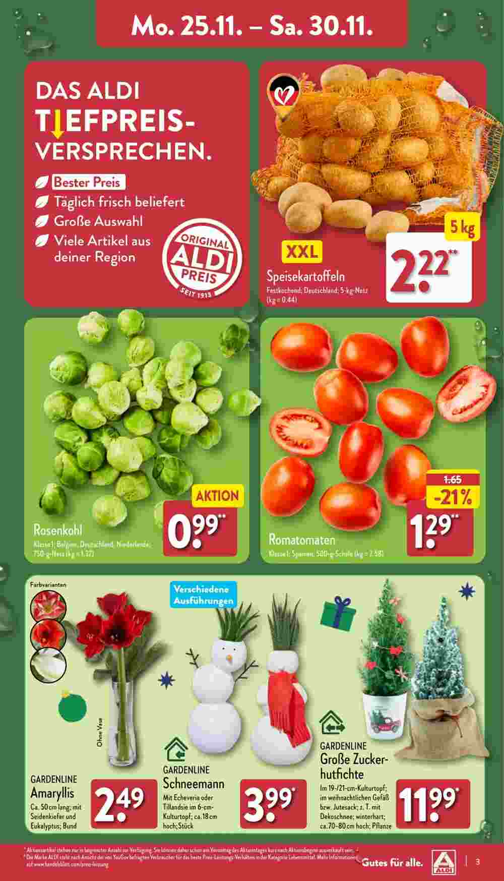 Aldi Nord Prospekt (ab 25.11.2024) zum Blättern - Seite 3