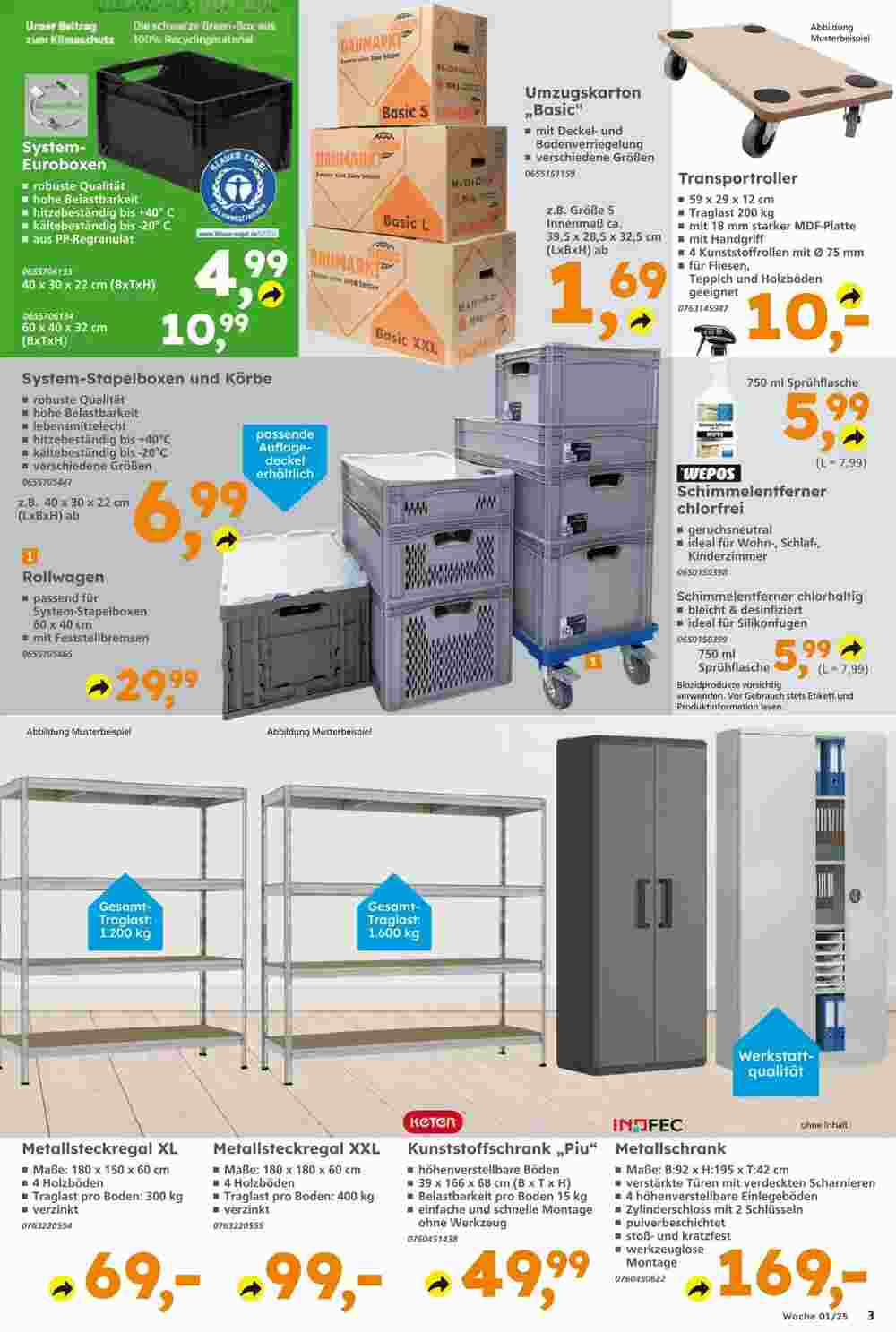 Globus Baumarkt Prospekt (ab 29.12.2024) zum Blättern - Seite 3