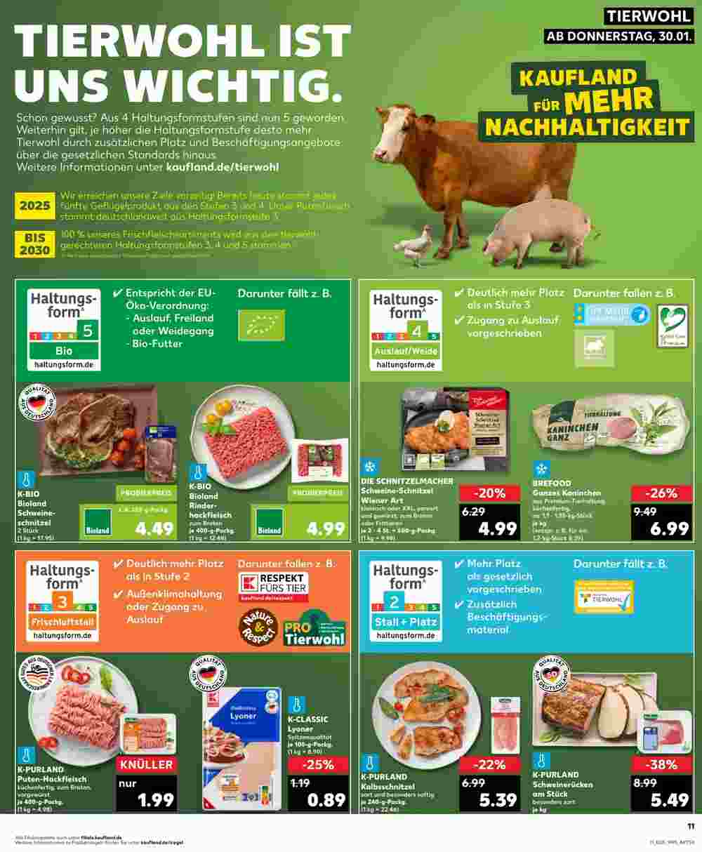 Kaufland Prospekt (ab 30.01.2025) zum Blättern - Seite 11