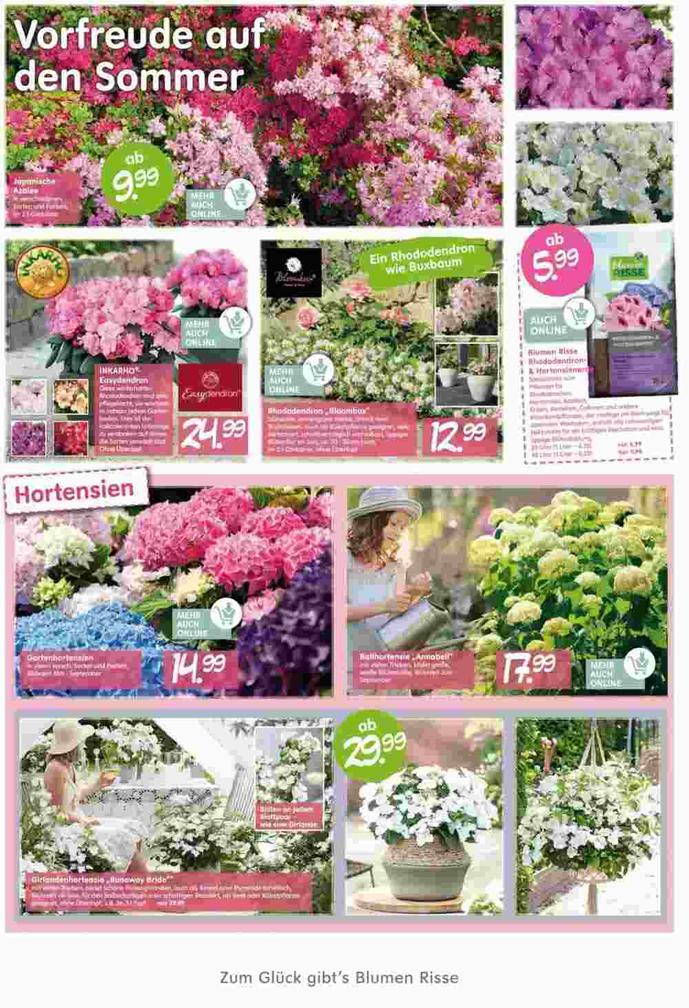 Blumen Risse Prospekt (ab 26.04.2025) zum Blättern - Seite 2