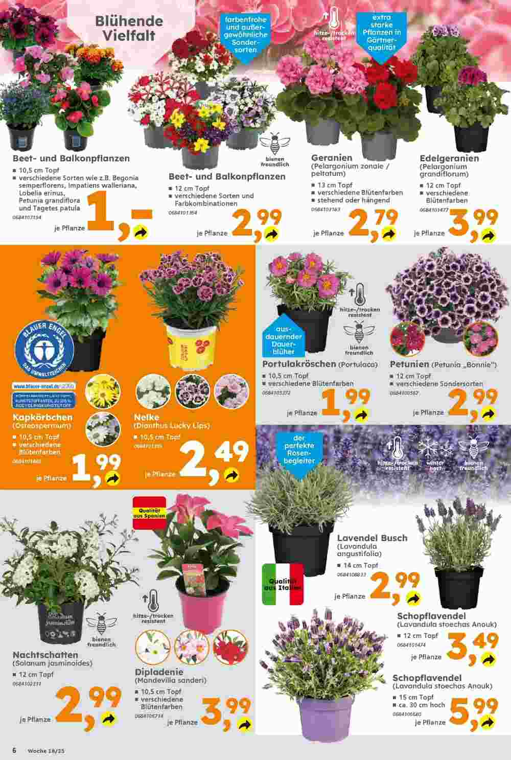 Globus Baumarkt Prospekt (ab 27.04.2025) zum Blättern - Seite 6