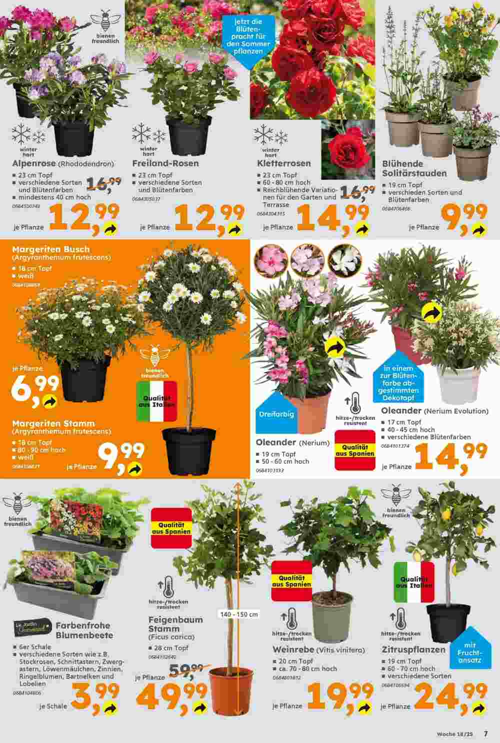 Globus Baumarkt Prospekt (ab 27.04.2025) zum Blättern - Seite 7