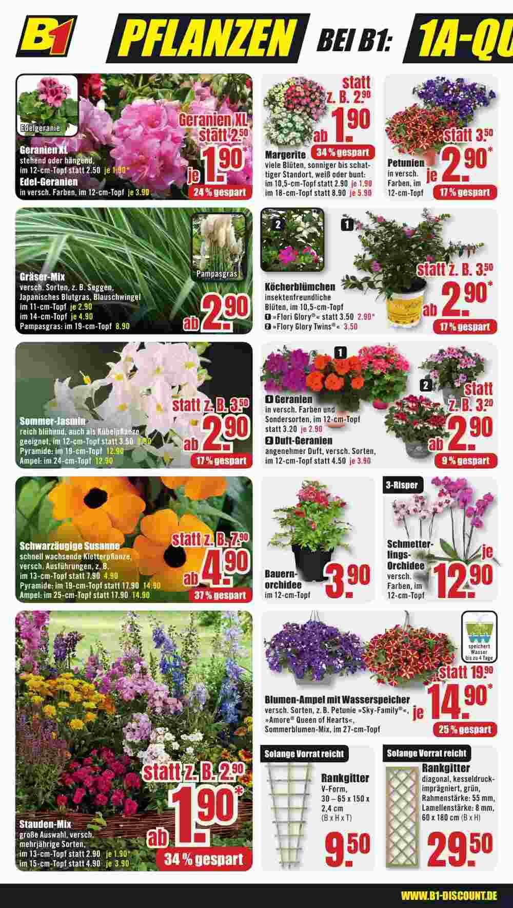 B1 Discount Baumarkt Prospekt (ab 03.05.2025) zum Blättern - Seite 6
