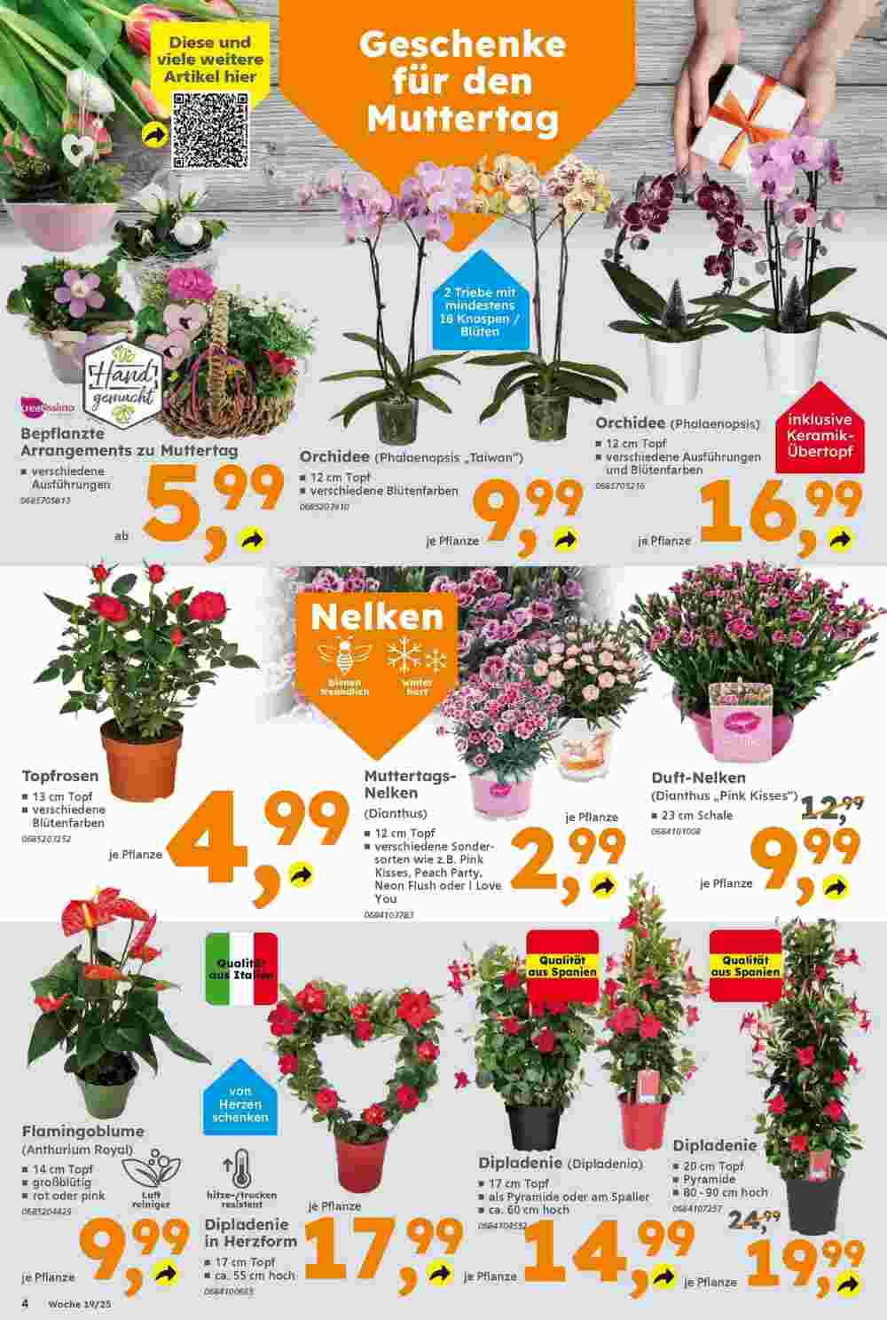 Globus Baumarkt Prospekt (ab 04.05.2025) zum Blättern - Seite 4