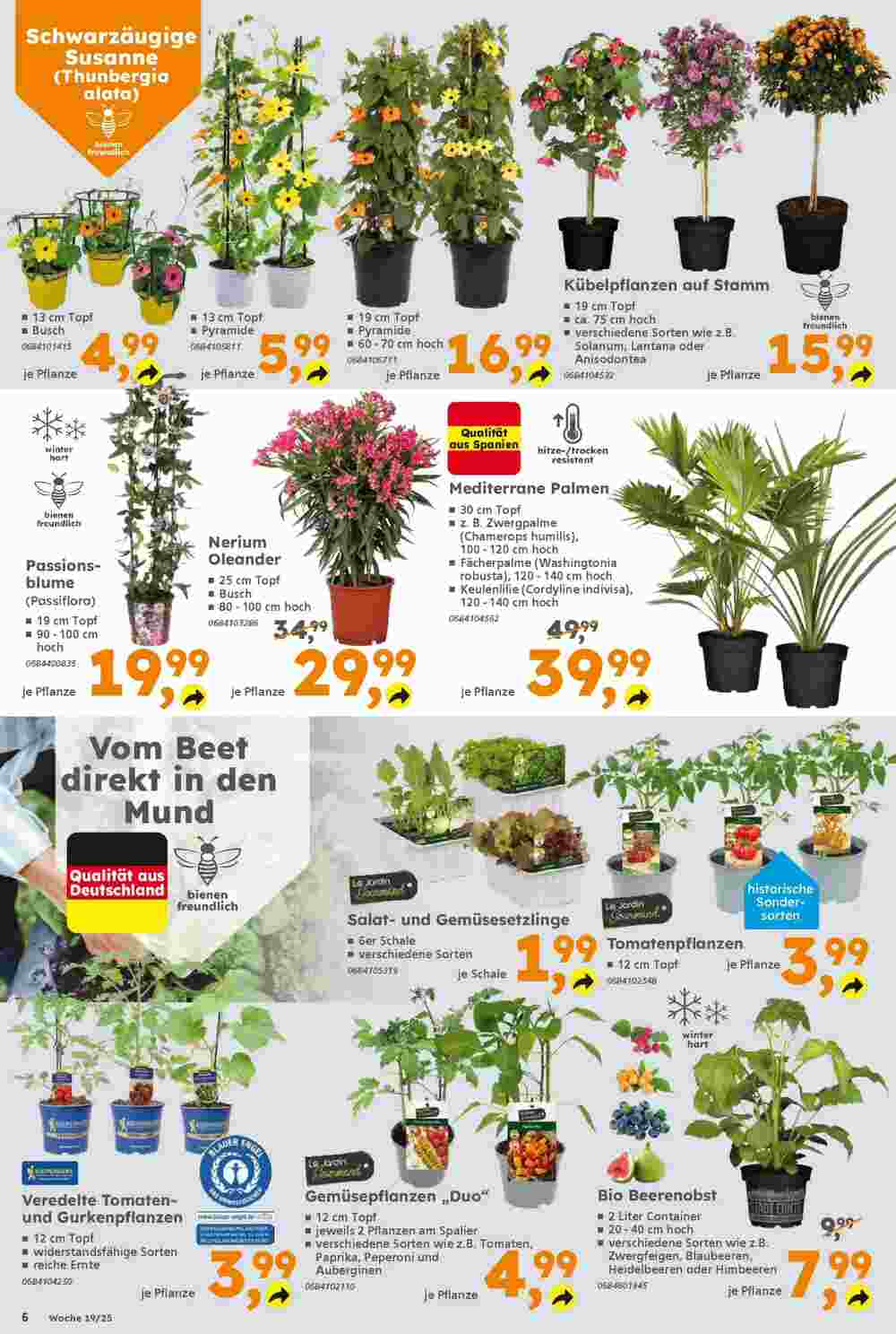 Globus Baumarkt Prospekt (ab 04.05.2025) zum Blättern - Seite 6