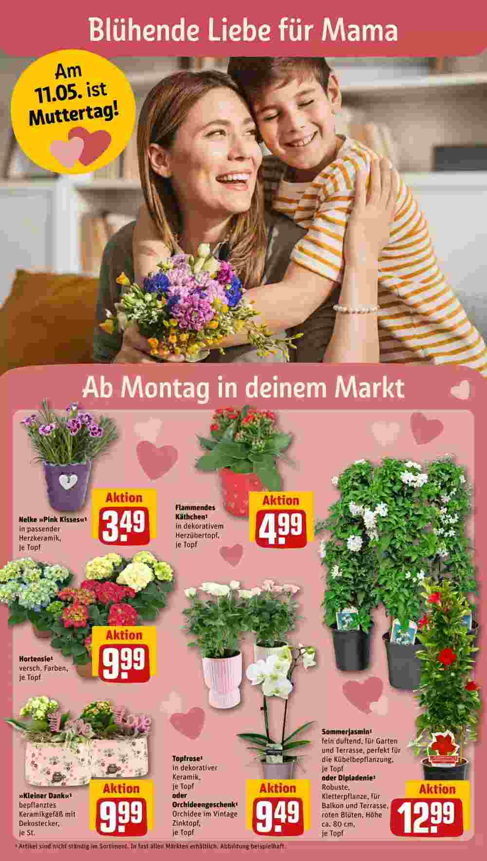 REWE PETZ Prospekt (ab 05.05.2025) zum Blättern - Seite 6
