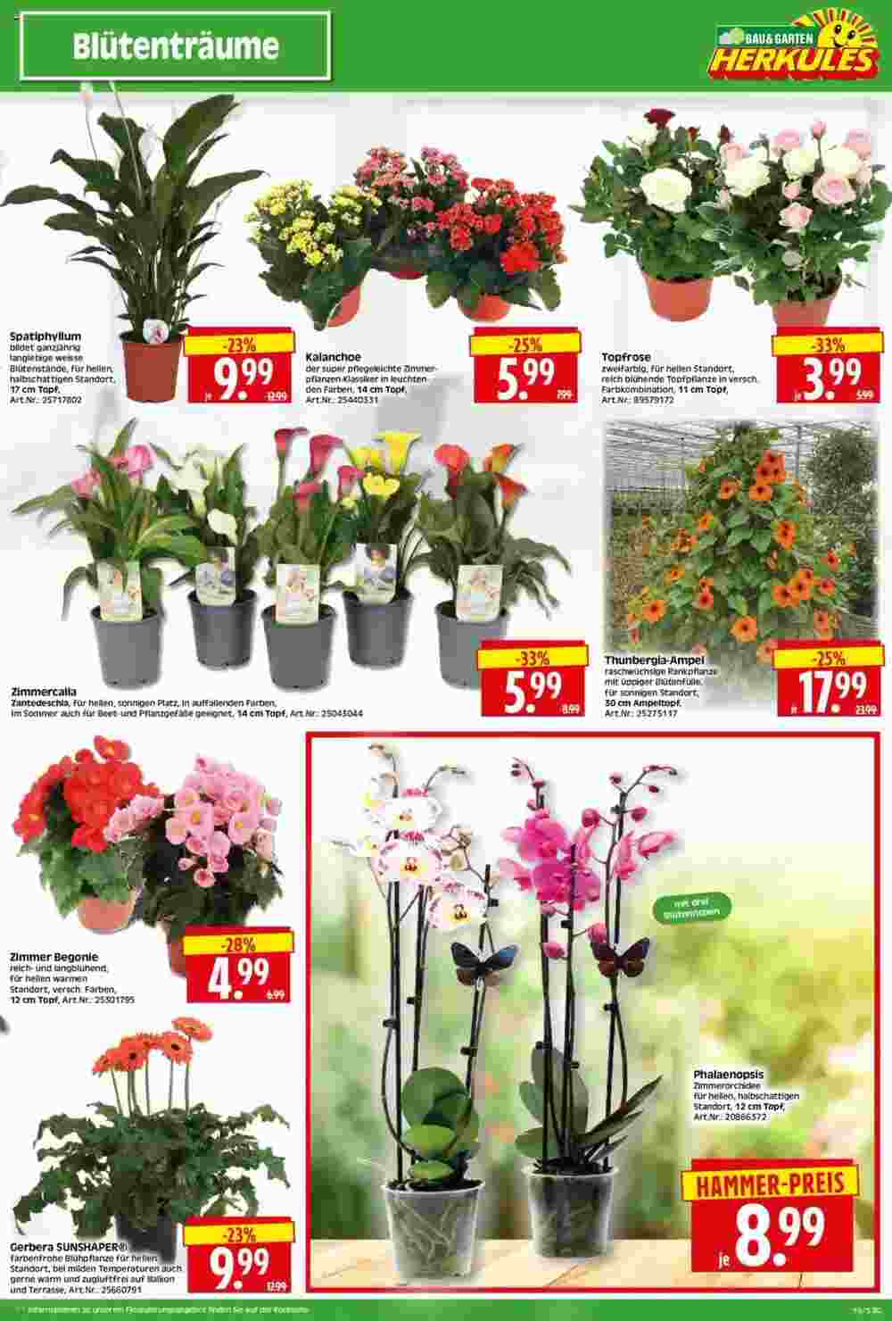 Edeka Herkules Prospekt (ab 05.05.2025) zum Blättern - Seite 5
