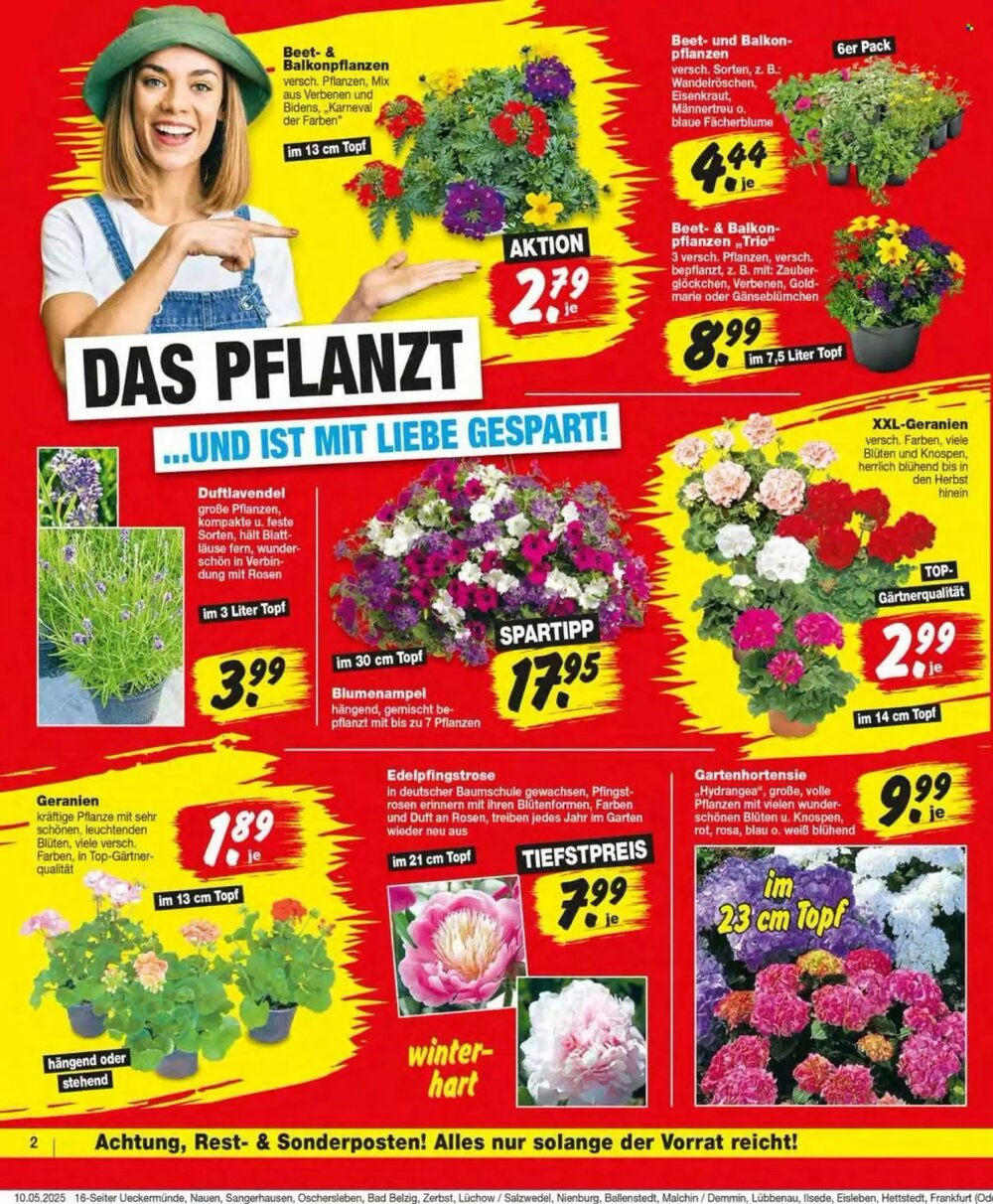 Repo Markt Prospekt (ab 12.05.2025) zum Blättern - Seite 2