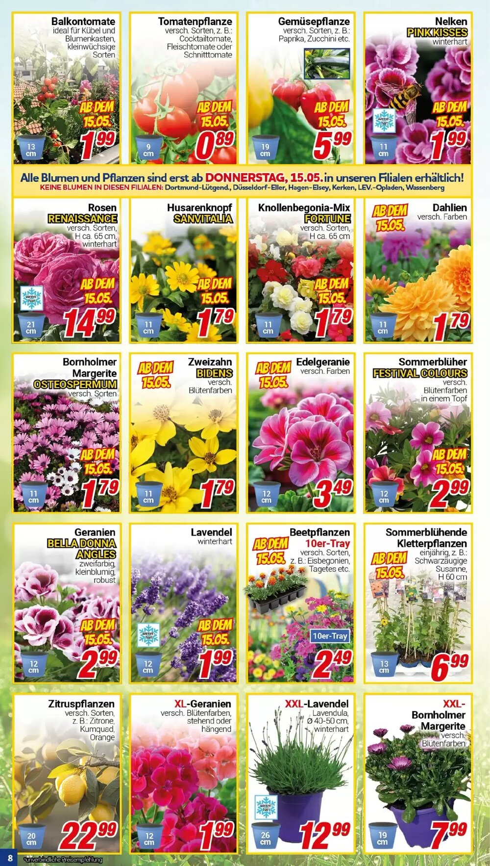 CENTERSHOP Prospekt (ab 12.05.2025) zum Blättern - Seite 8