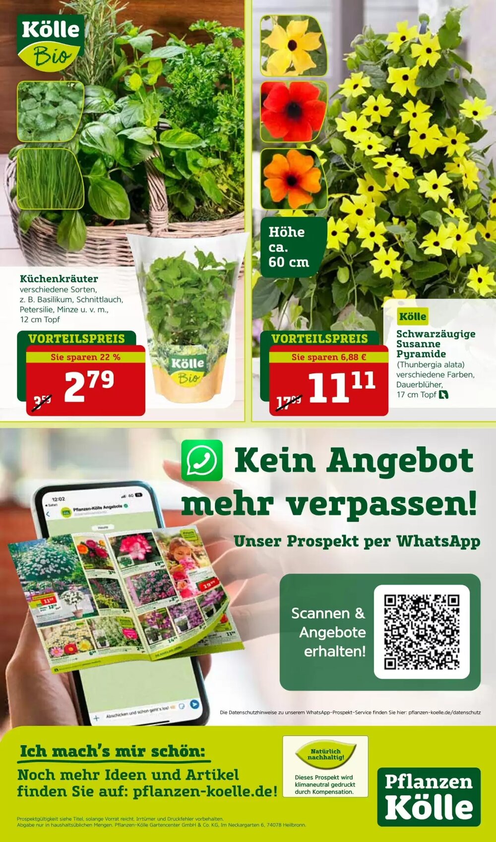 Pflanzen Kölle Prospekt (ab 12.05.2025) zum Blättern - Seite 14