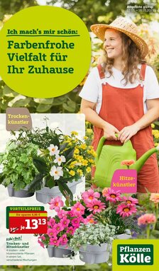 Pflanzen Kölle Prospekt (ab 12.05.2025) zum Blättern