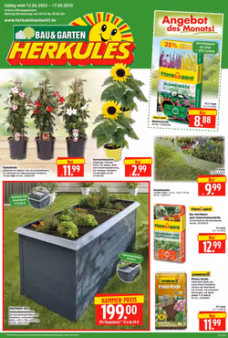 Herkules Baumarkt Prospekt (ab 12.05.2025) zum Blättern