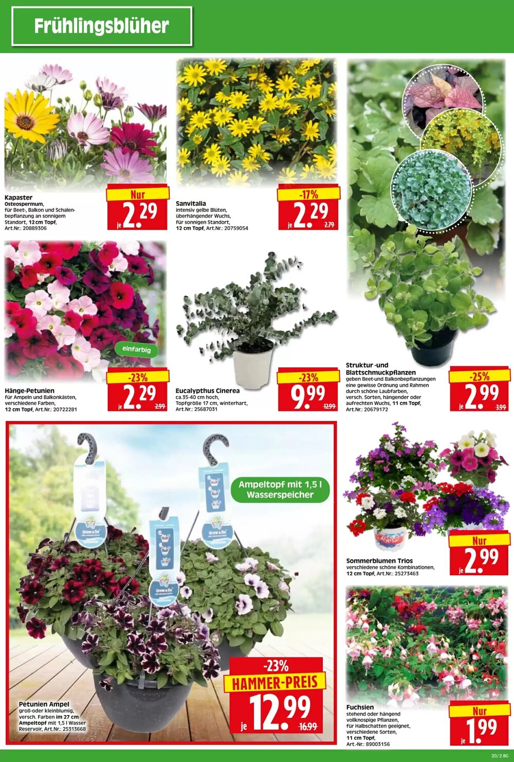 Herkules Baumarkt Prospekt (ab 12.05.2025) zum Blättern - Seite 2