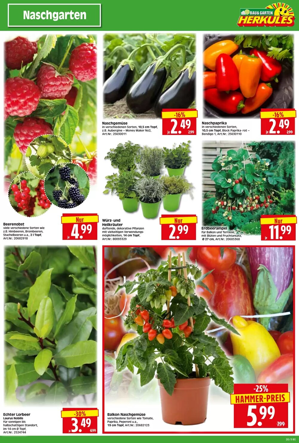 Herkules Baumarkt Prospekt (ab 12.05.2025) zum Blättern - Seite 3