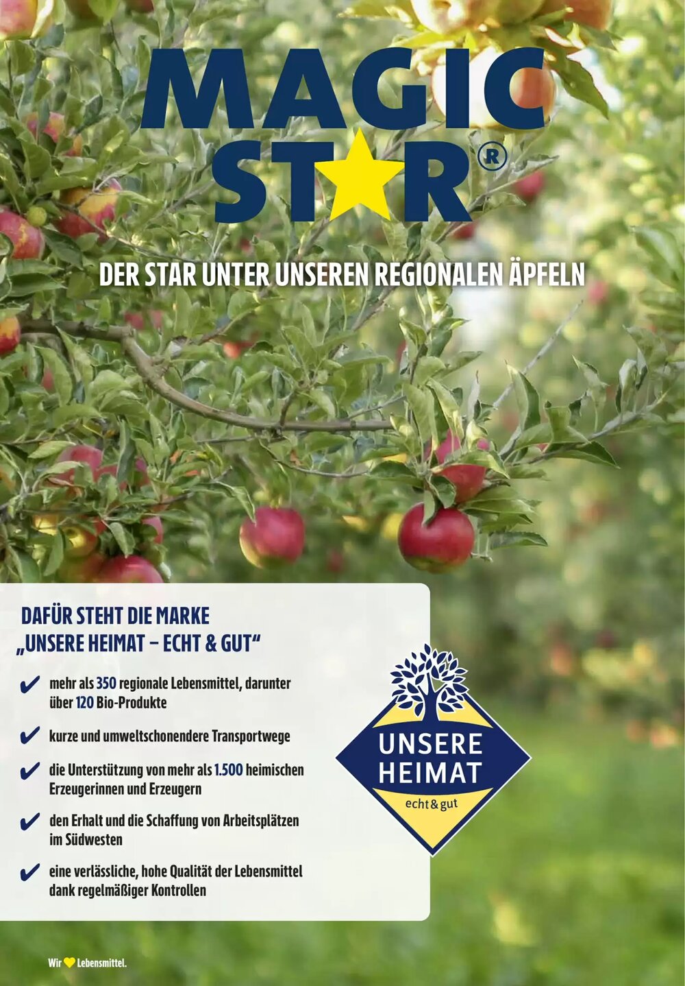 Edeka Stenger Prospekt (ab 12.05.2025) zum Blättern - Seite 6