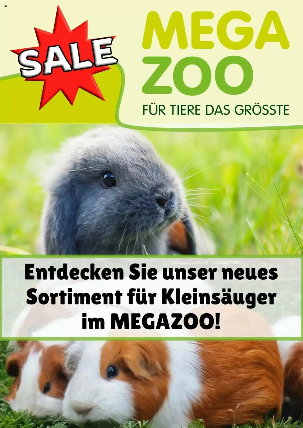 MegaZoo Prospekt (ab 12.05.2025) zum Blättern - Seite 1