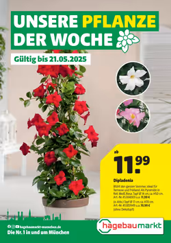Hagebau Prospekt (ab 15.05.2025) zum Blättern