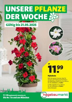 Hagebau Prospekt (ab 15.05.2025) zum Blättern