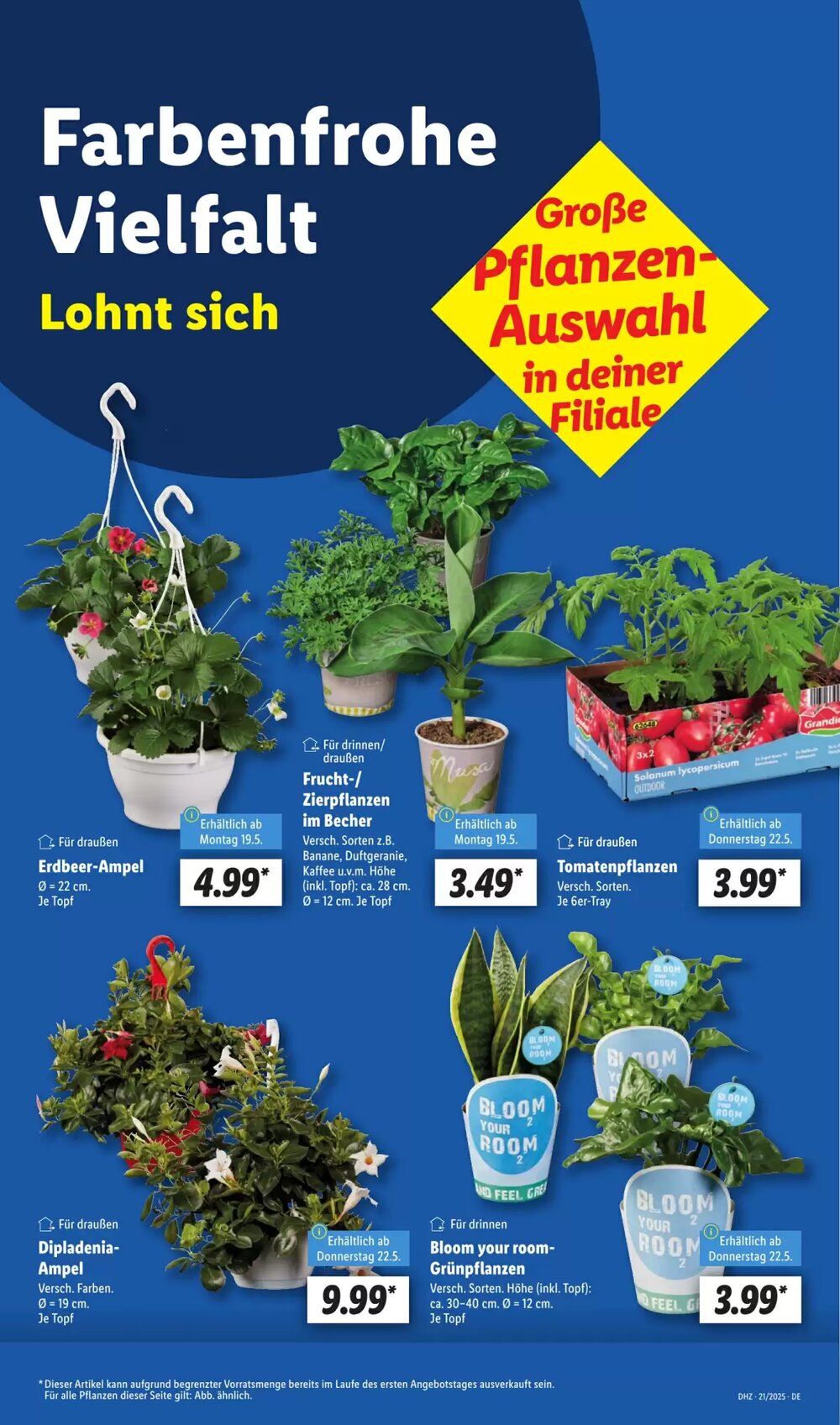 Lidl Prospekt (ab 19.05.2025) zum Blättern - Seite 5