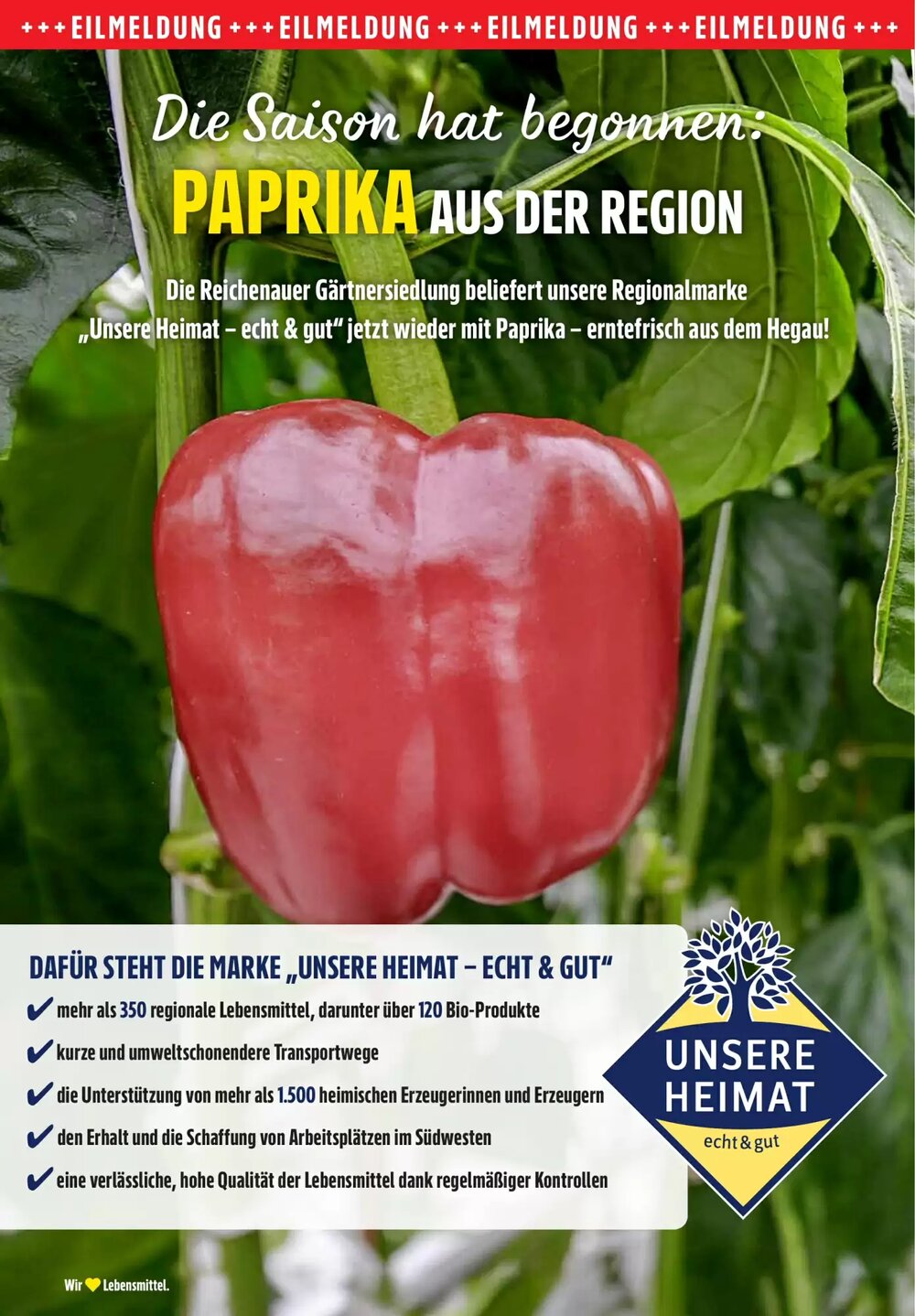 Edeka Stenger Prospekt (ab 19.05.2025) zum Blättern - Seite 10